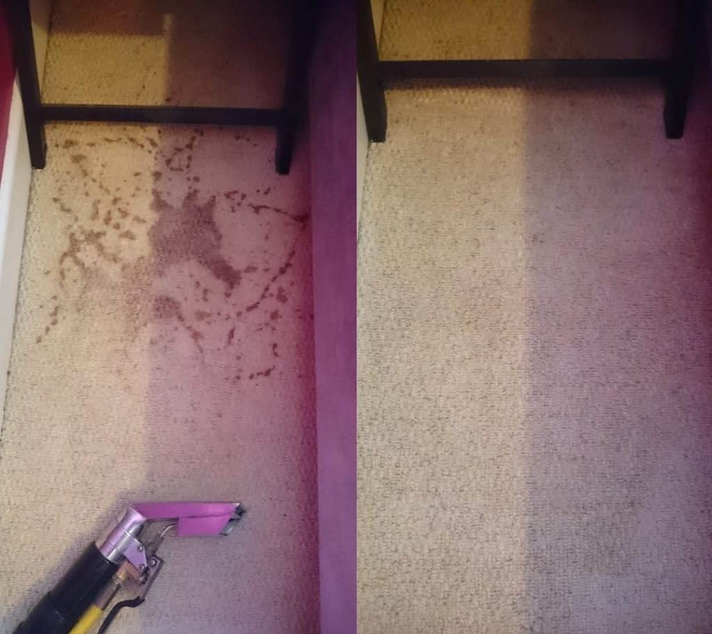 Is Professional Carpet Cleaning Worth It?