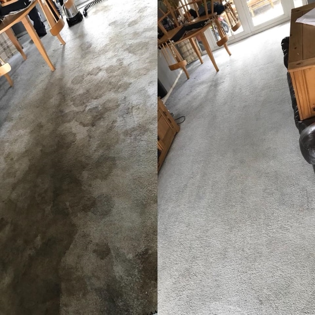 Carpet Deep Cleaning