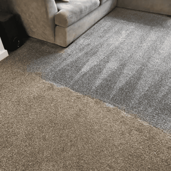 emv 409 professional carpet cleaning machine