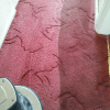 emv 409 professional carpet cleaning machine