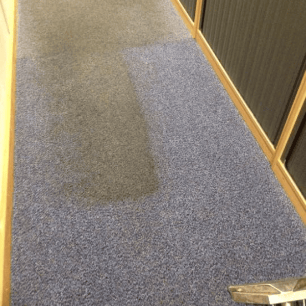 emv 409 professional carpet cleaning machine