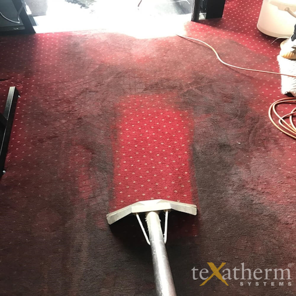 texatherm professional carpet cleaning www.texatherm.com